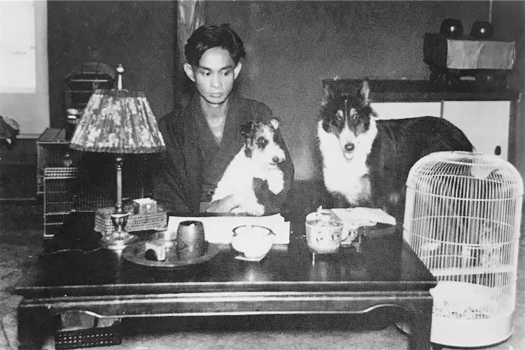 f:id:shige97:20200625185050j:plain