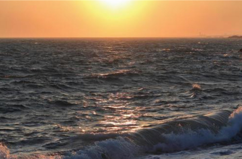 f:id:shige97:20220220132550j:image f:id:shige97:20220220132550j:image