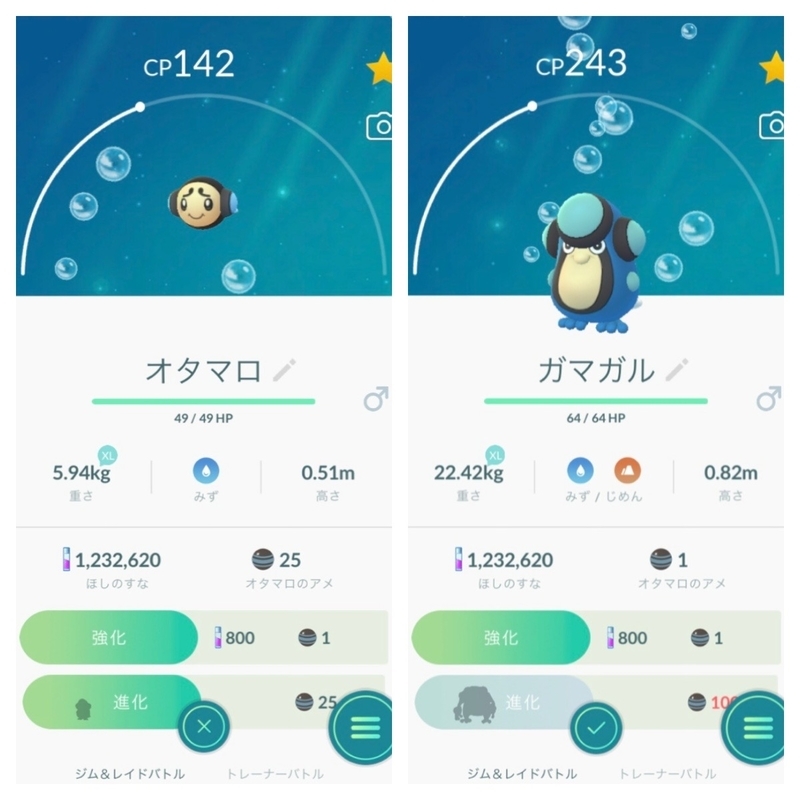 ポケgo日記 53 個体値maxの ハネッコ を進化させたよ ﾟwﾟ ﾉ しげちゃんねる