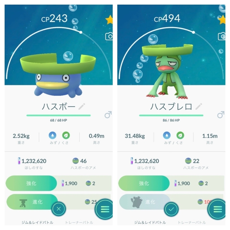 ポケgo日記 53 個体値maxの ハネッコ を進化させたよ ﾟwﾟ ﾉ しげちゃんねる
