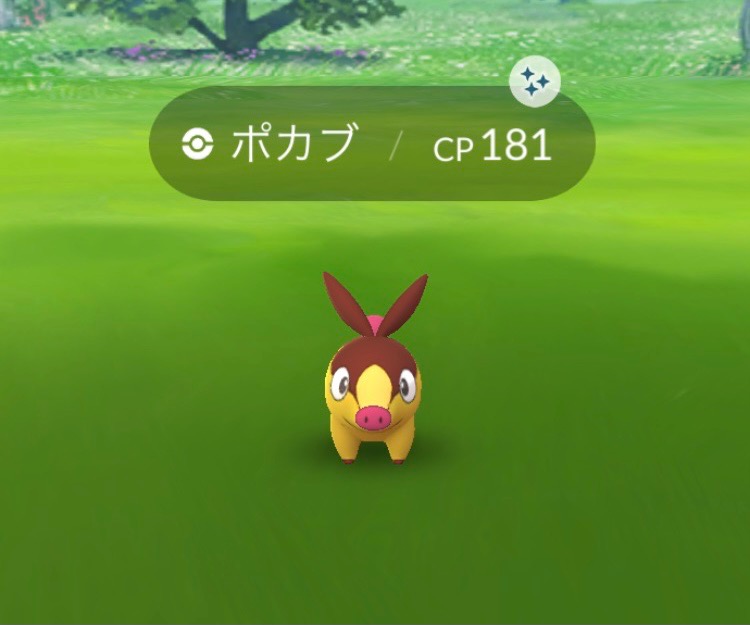 ポケgo日記 118 コミュニティ デイ2日目は色違い高個体値get ﾟwﾟ ﾉ しげちゃんねる