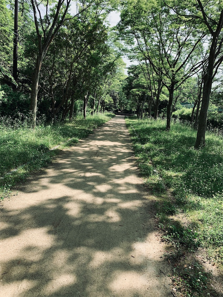 f:id:shigechikun:20220322142116j:image