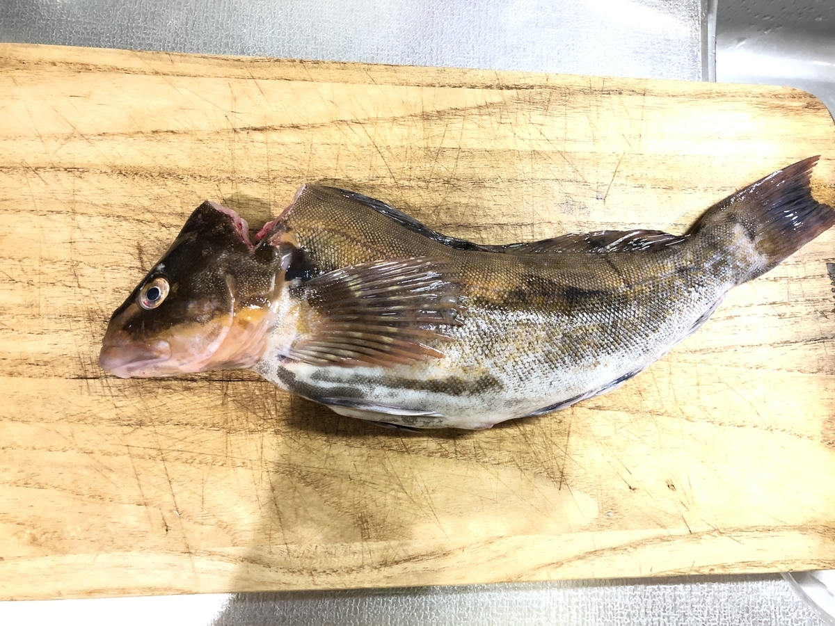 イタリアン ヒラメ アイナメ ホタテとホタルイカのカルパッチョ 週末料理人cj