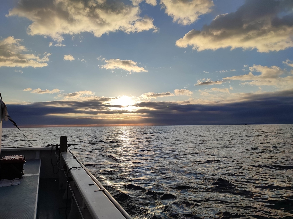 f:id:shigemaru-ace:20220104090937j:plain