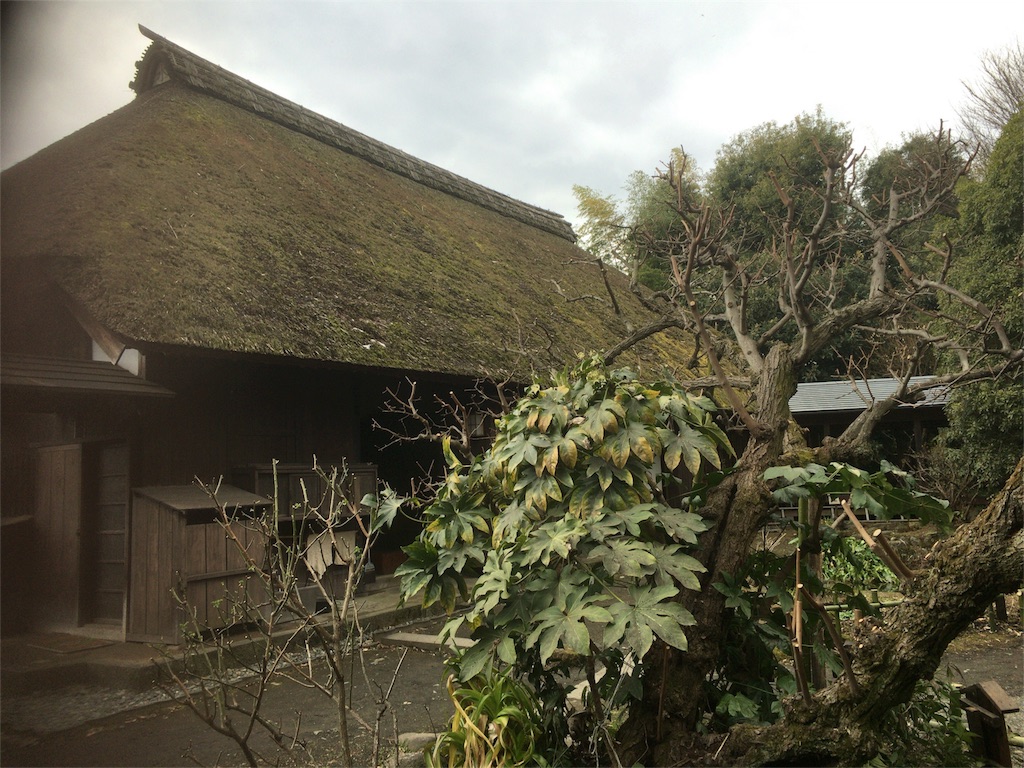 f:id:shigemioden:20170212192435j:image f:id:shigemioden:20170212192435j:image