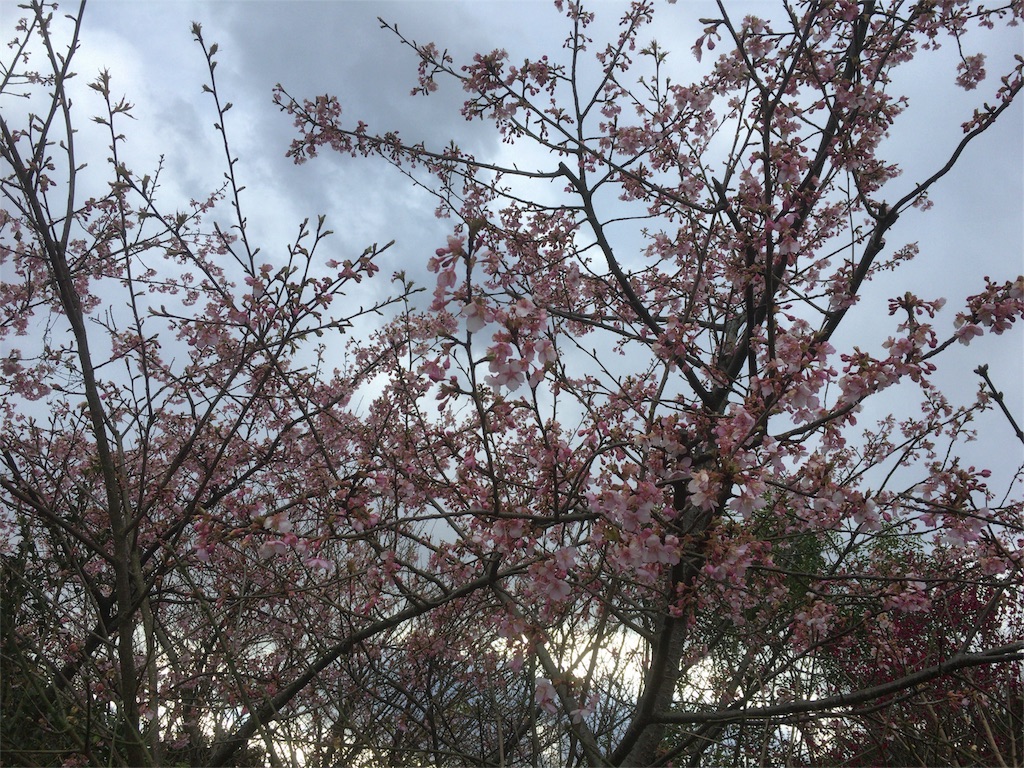 f:id:shigemioden:20170212192445j:image f:id:shigemioden:20170212192445j:image