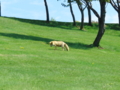 20100522104010