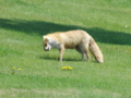 20100522104106