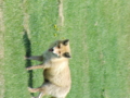 20100522104119