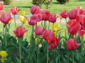 20100522164236