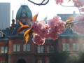 20100522164308