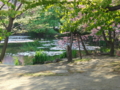 20100522164440