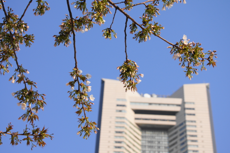 f:id:shigeo-t:20140328092540j:plain