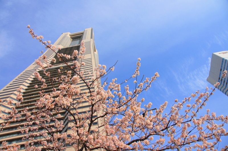 f:id:shigeo-t:20140406084725j:plain