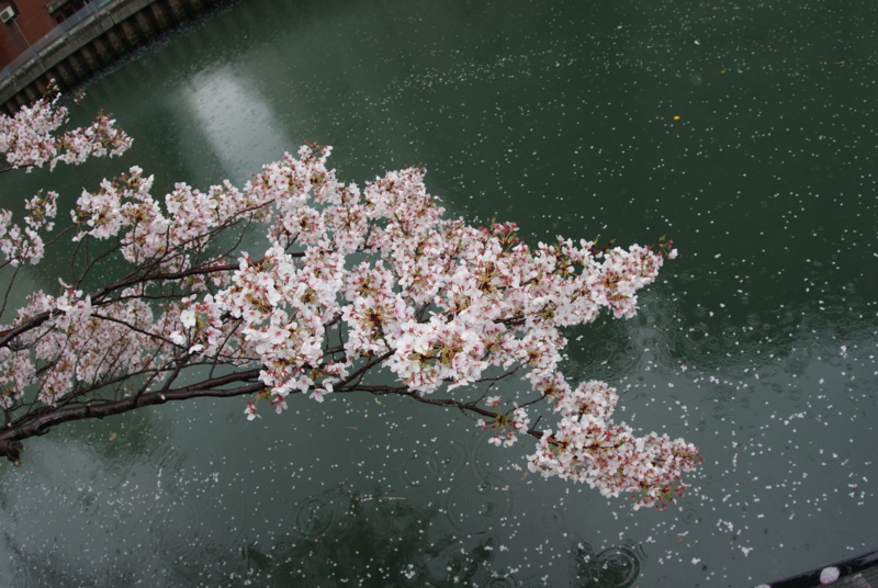 f:id:shigeo-t:20140406090019j:plain