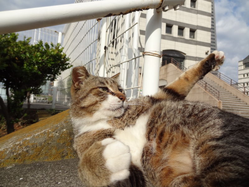 f:id:shigeo-t:20140523095819j:plain