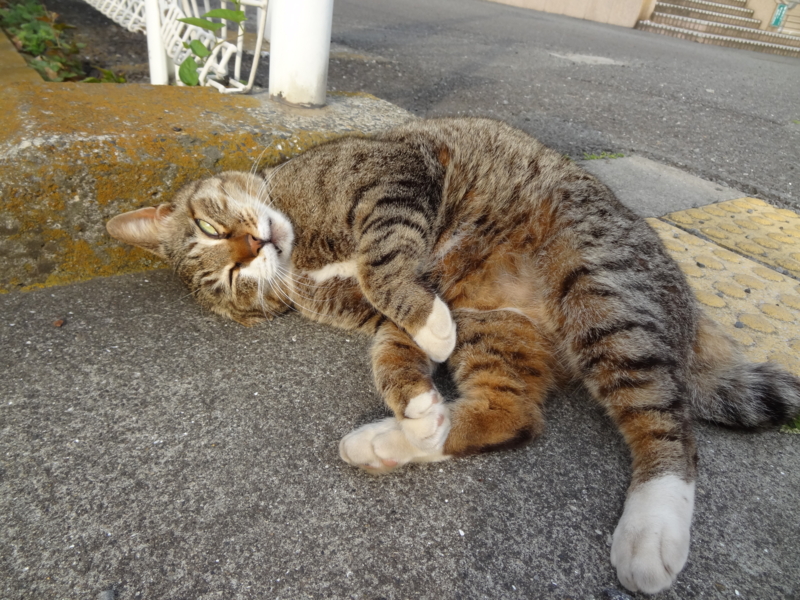 f:id:shigeo-t:20140607110659j:plain f:id:shigeo-t:20140607110659j:plain