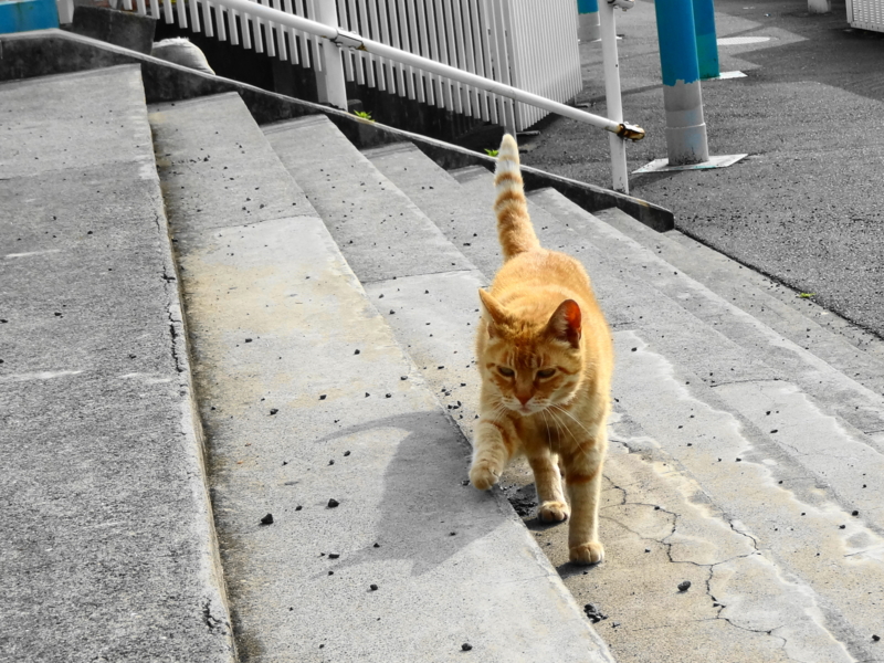 f:id:shigeo-t:20140717044541j:plain