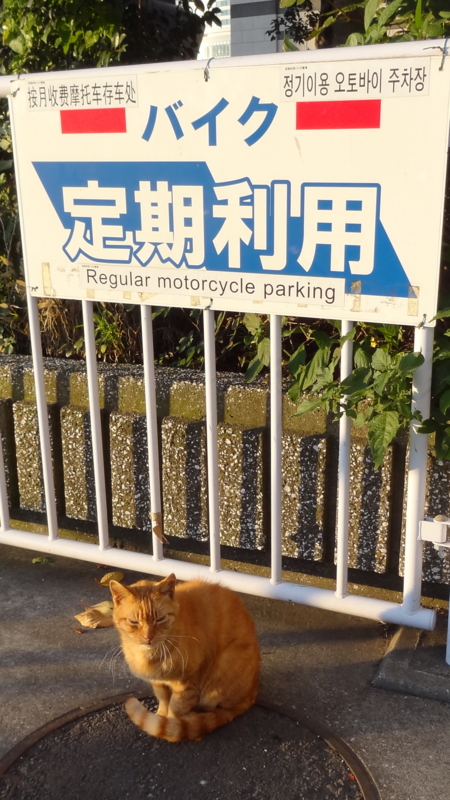 f:id:shigeo-t:20141119042357j:plain