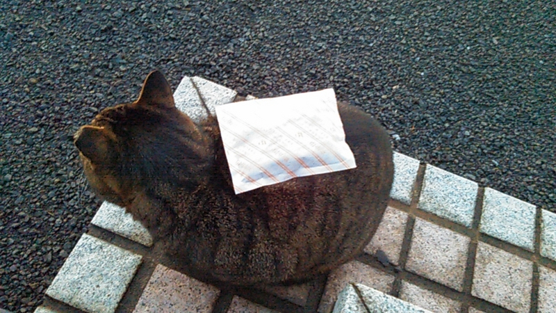 f:id:shigeo-t:20141230063739j:plain f:id:shigeo-t:20141230063739j:plain
