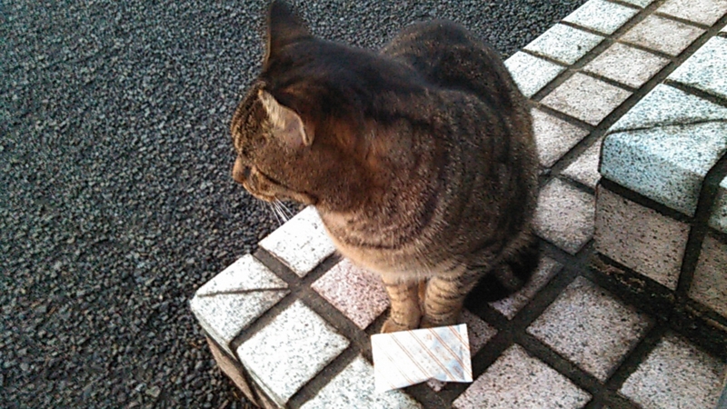 f:id:shigeo-t:20141230063741j:plain f:id:shigeo-t:20141230063741j:plain