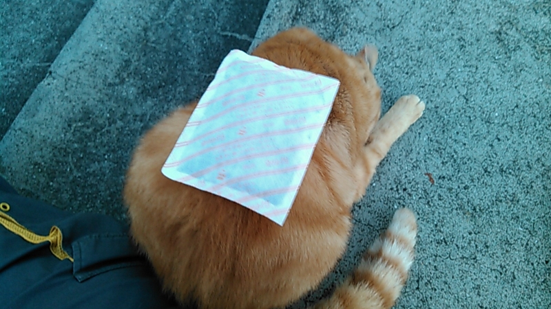 f:id:shigeo-t:20141230065646j:plain f:id:shigeo-t:20141230065646j:plain