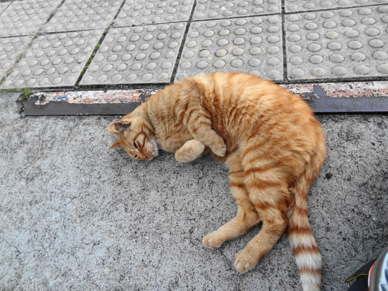 f:id:shigeo-t:20150117051744j:plain
