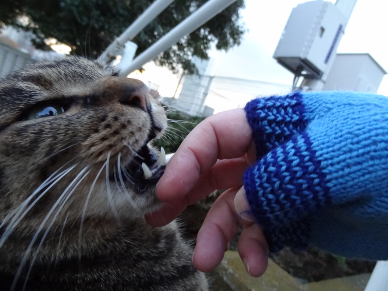 f:id:shigeo-t:20150117054620j:plain