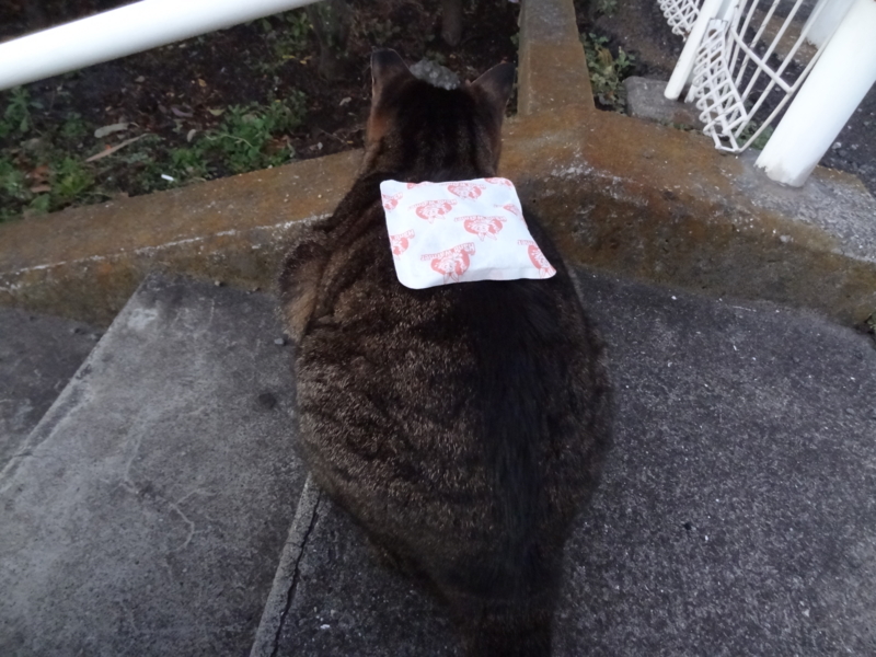 f:id:shigeo-t:20150117055103j:plain