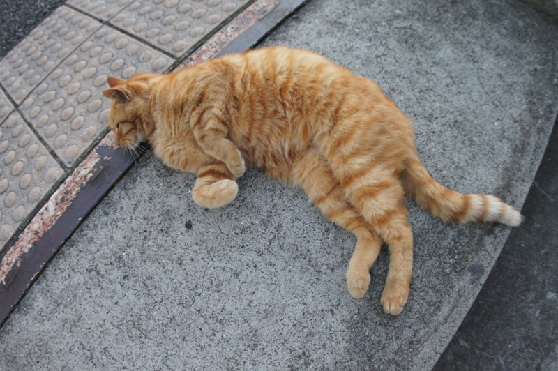 f:id:shigeo-t:20150117095213j:plain