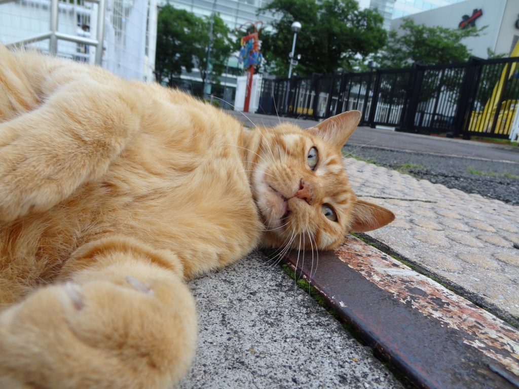 f:id:shigeo-t:20150708032522j:plain