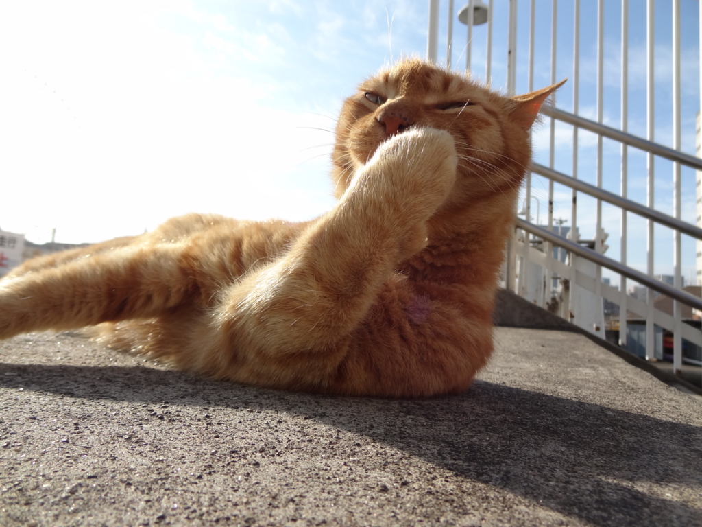 f:id:shigeo-t:20150708032703j:plain