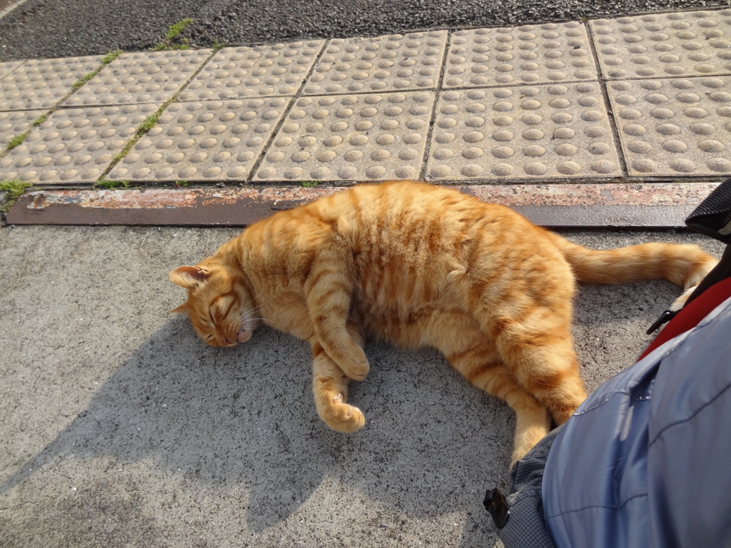 f:id:shigeo-t:20150708032838j:plain