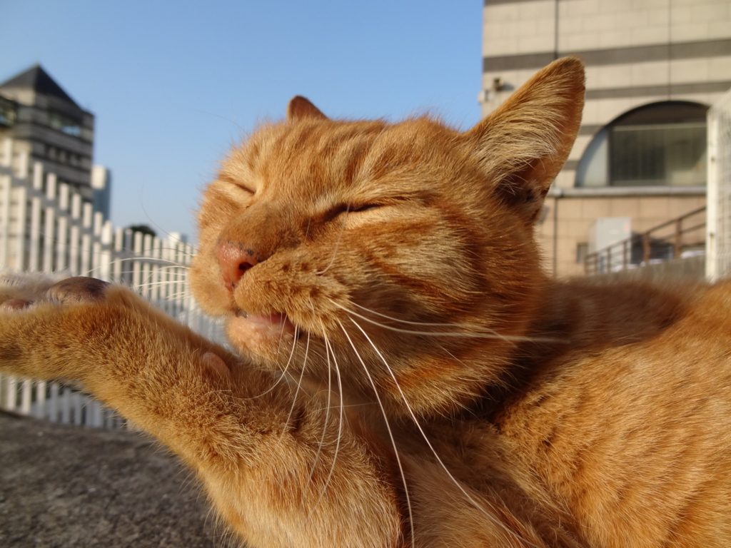 f:id:shigeo-t:20150708033041j:plain