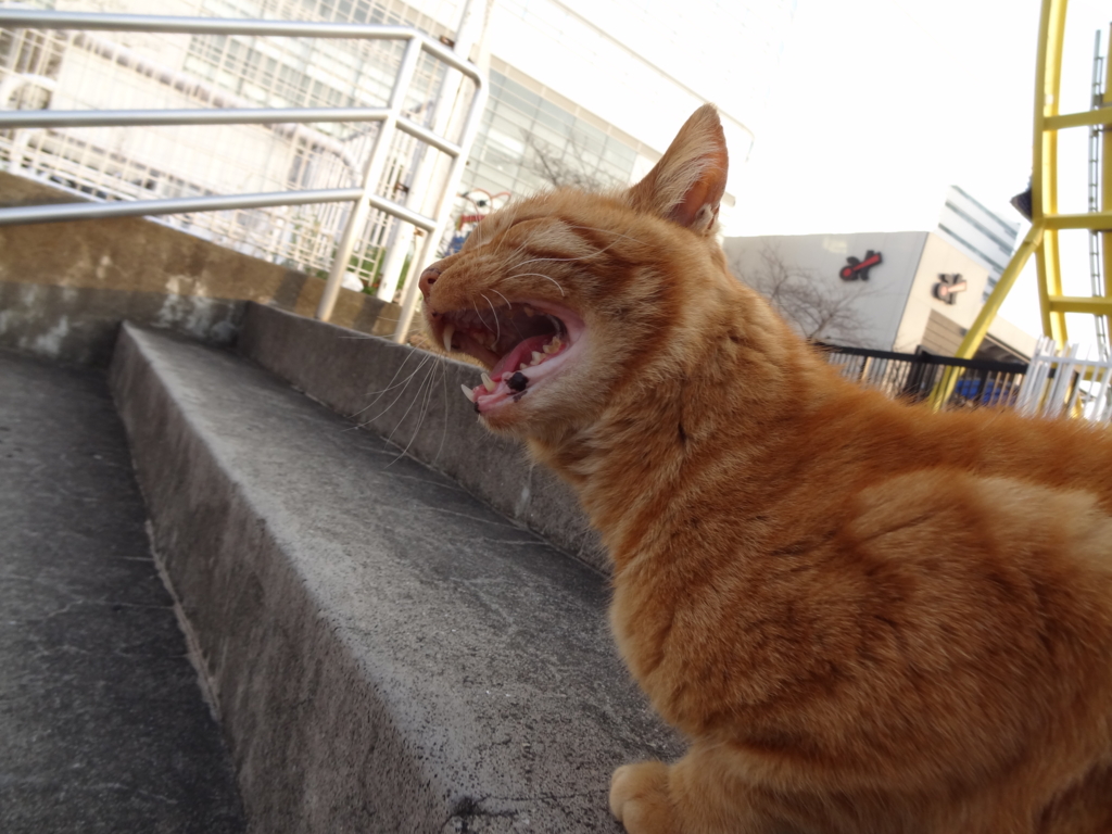 f:id:shigeo-t:20150708033126j:plain