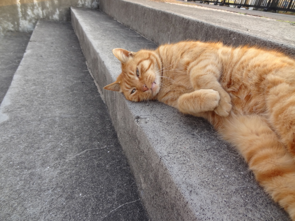 f:id:shigeo-t:20150708033149j:plain