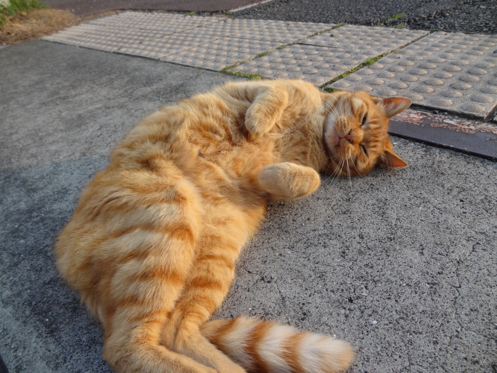 f:id:shigeo-t:20150708033925j:plain