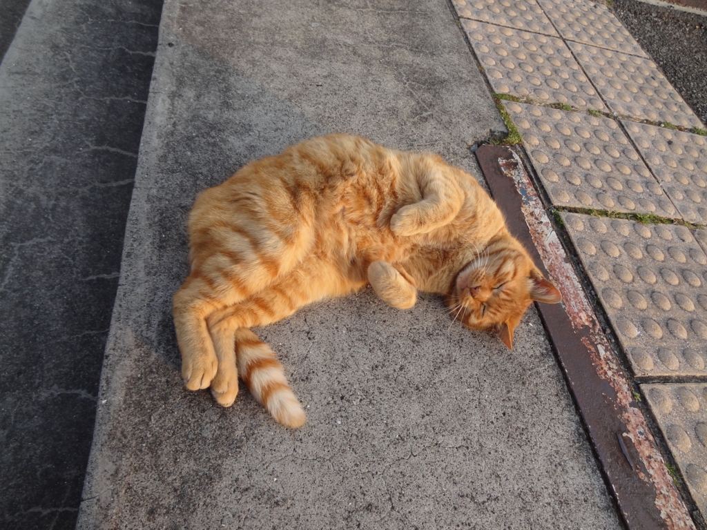 f:id:shigeo-t:20150708033945j:plain