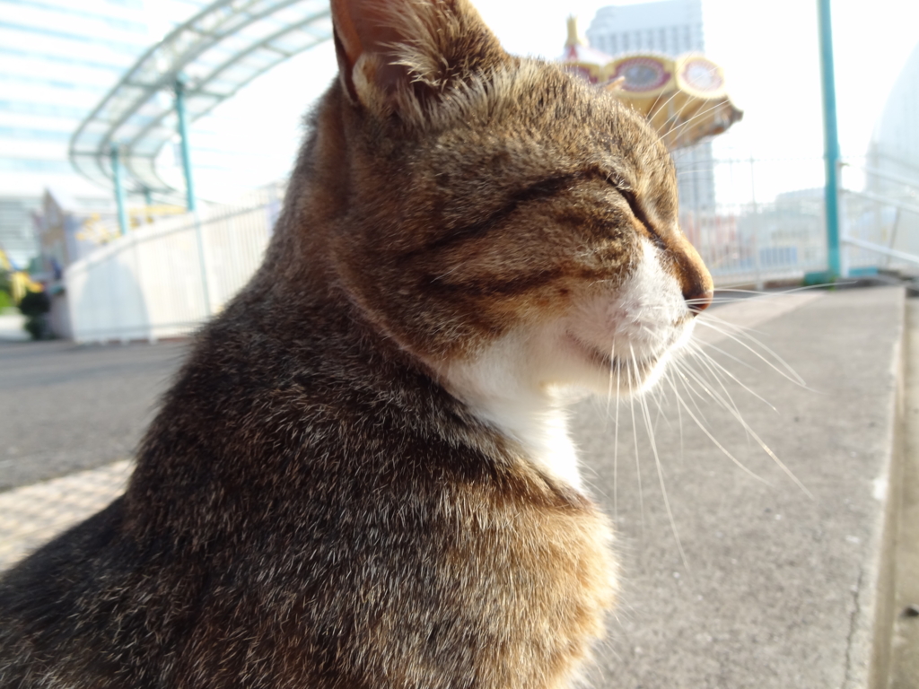 f:id:shigeo-t:20150713030757j:plain f:id:shigeo-t:20150713030757j:plain