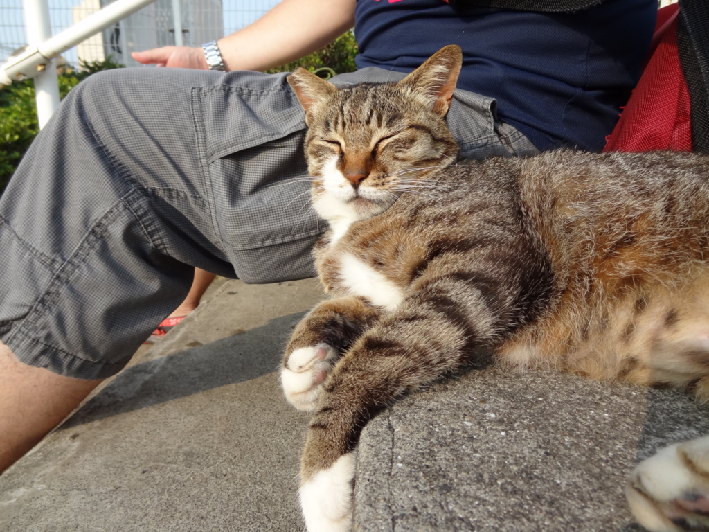 f:id:shigeo-t:20150713031744j:plain f:id:shigeo-t:20150713031744j:plain