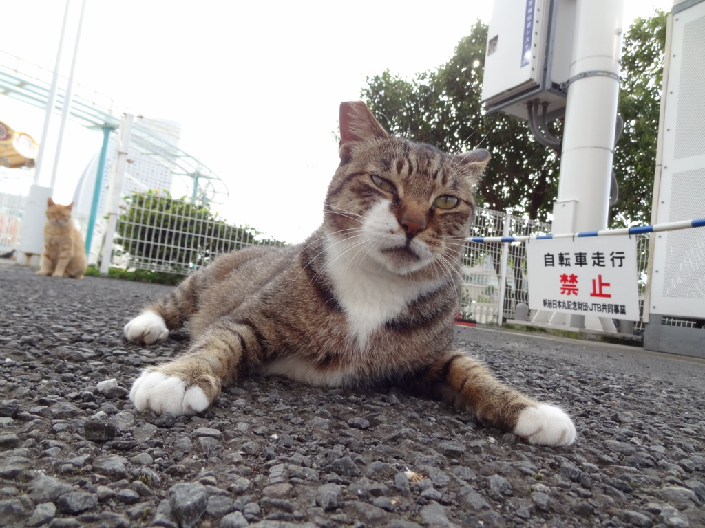 f:id:shigeo-t:20150719035743j:plain