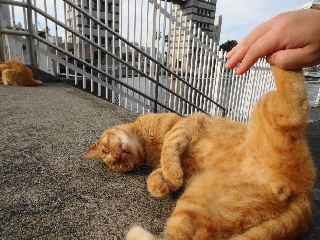 f:id:shigeo-t:20150719040842j:plain