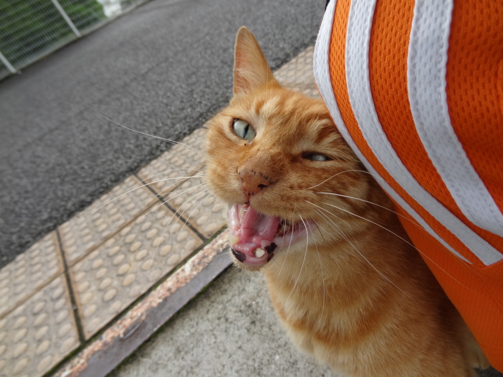 f:id:shigeo-t:20150719041007j:plain