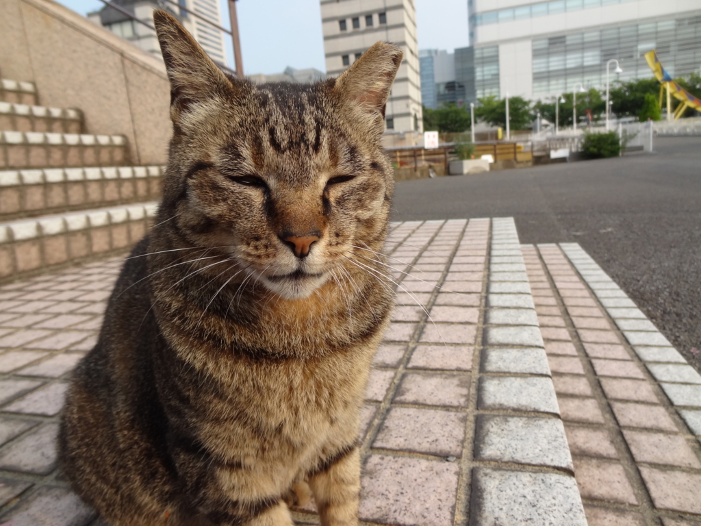 f:id:shigeo-t:20150719041709j:plain