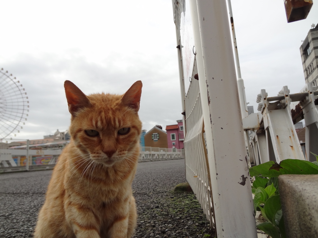 f:id:shigeo-t:20150723044150j:plain