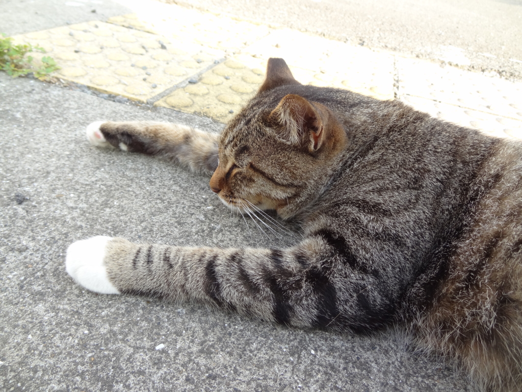 f:id:shigeo-t:20150904041008j:plain