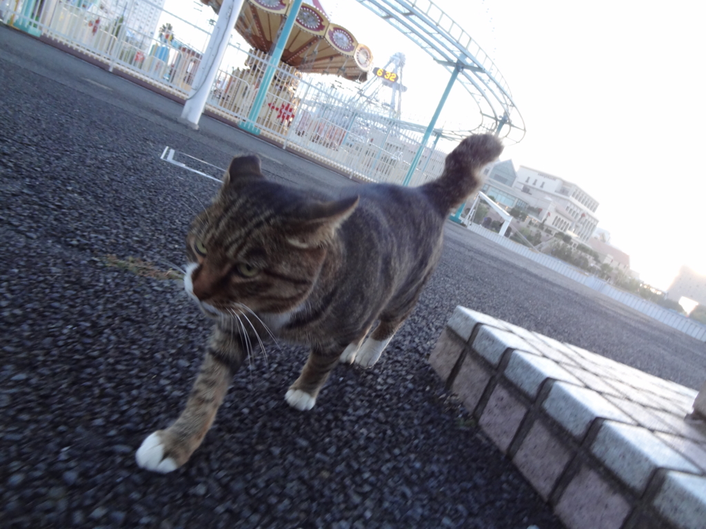 f:id:shigeo-t:20151115043905j:plain