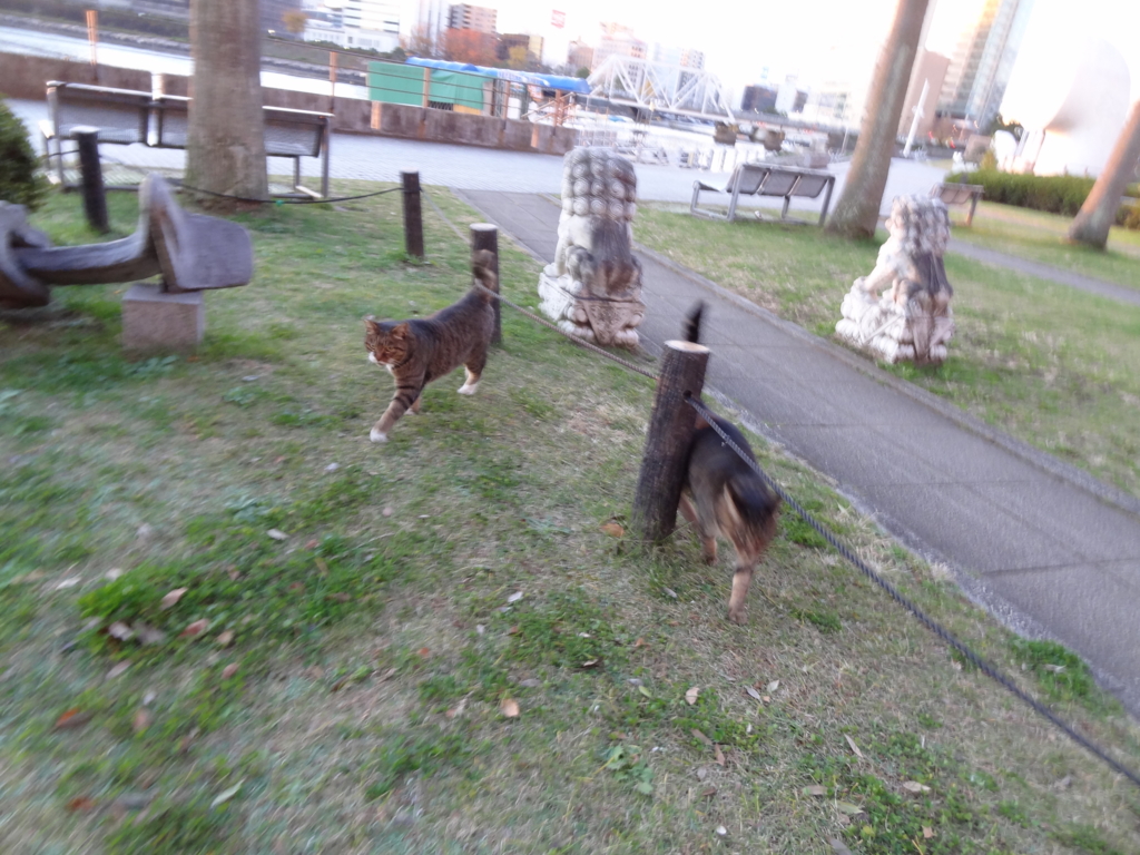 f:id:shigeo-t:20151216041014j:plain f:id:shigeo-t:20151216041014j:plain
