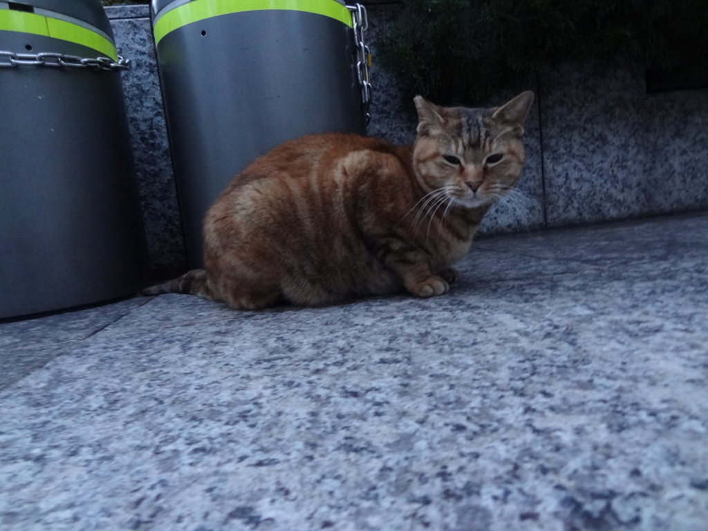 f:id:shigeo-t:20151216042327j:plain f:id:shigeo-t:20151216042327j:plain
