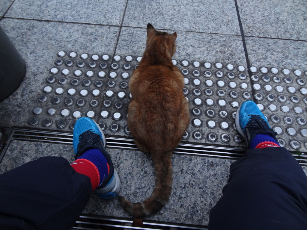 f:id:shigeo-t:20151217035614j:plain f:id:shigeo-t:20151217035614j:plain